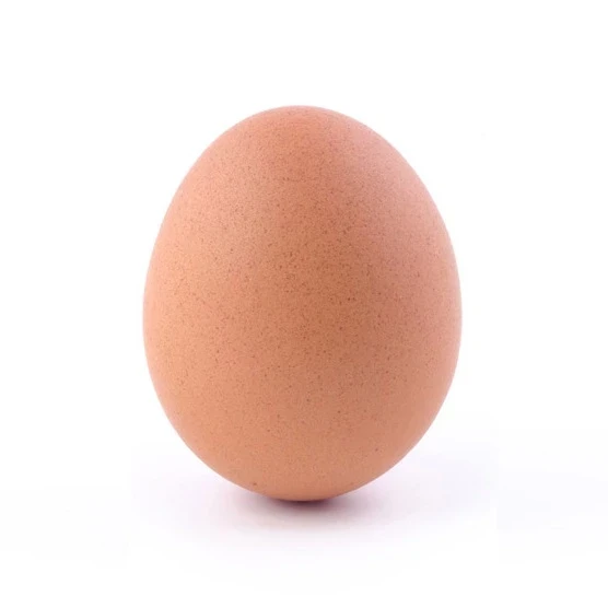 ডিম